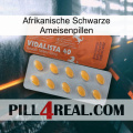 African Black Ant Pills 43